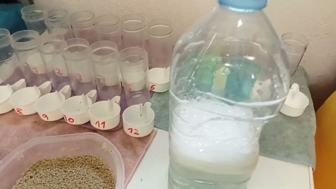 🤔🤔Doy 2° dosis exzolt y os digo mi valoración