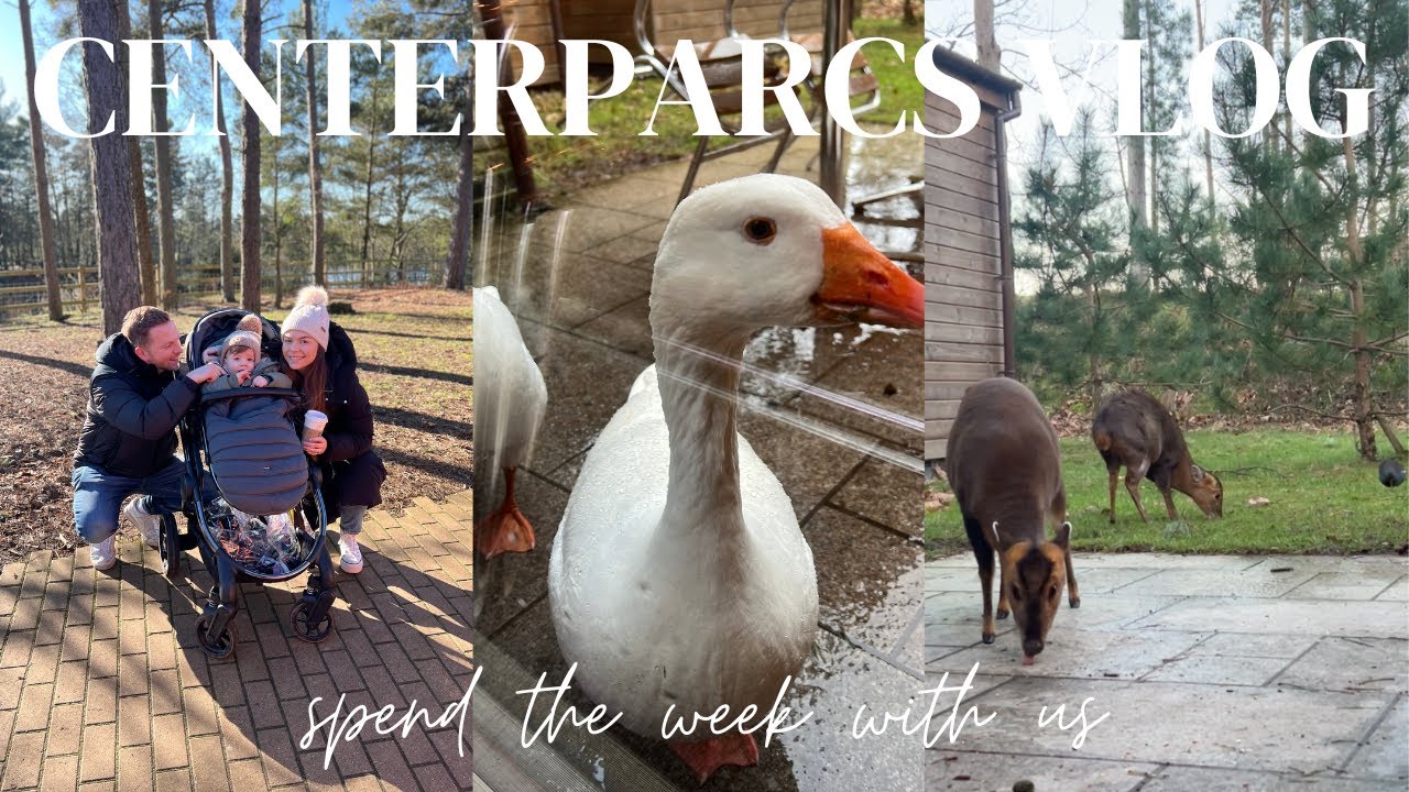 spend a cosy week with us | centerparcs vlog 2025 | aqua sana spa, swimming, lodge tour