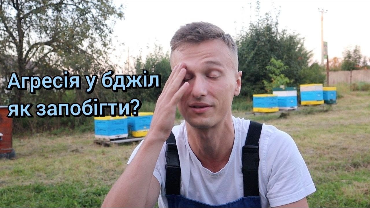 Чому і як жалять бджоли? Що треба знати щоб цьому запобігти?