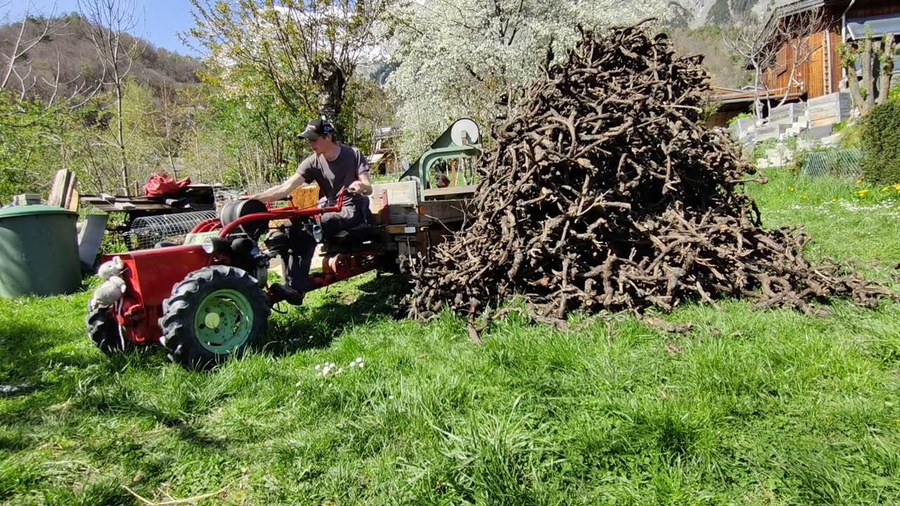 Aebi AM75 et sciage de troncs de vigne