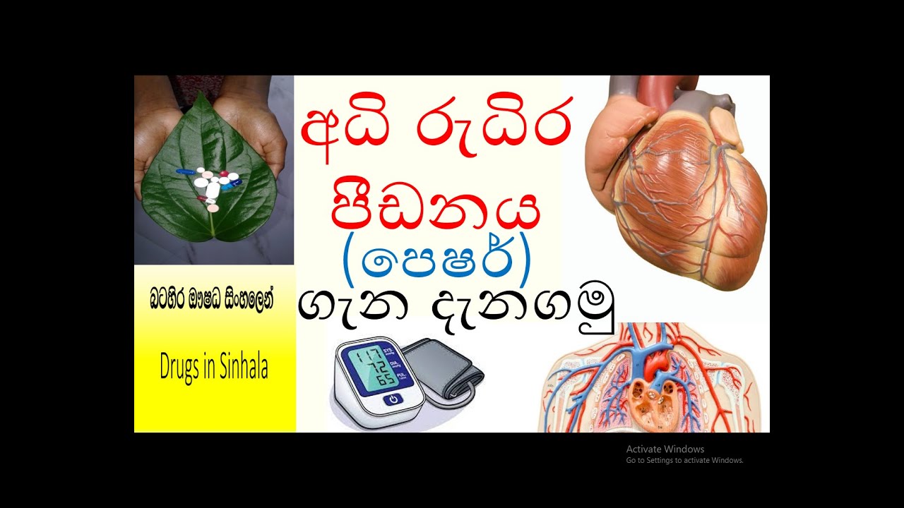 High blood pressure | hypertension in sinhala | අධි රුධිර  පීඩනය සිංහලෙන් |blood pressure in sinhala