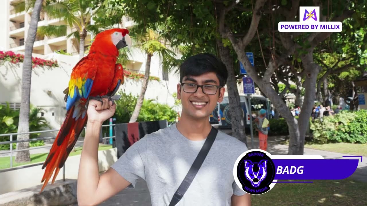 The Tragic Death of Suchir Balaji