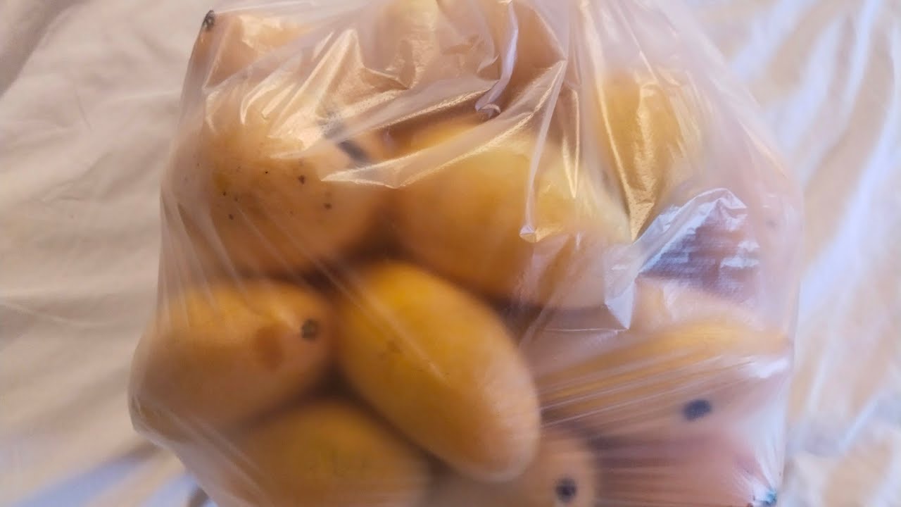 ПАТТАЙЯ❤️❤️❤️март 2024💥💥💥ВОТ ЭТО НИК НИК УДИВИЛ😛😛😛😛😛😛😛😛😛😛😛😛😛😛😛😛😛😛😛😛😛😛😛😛😛😛😛😛😛