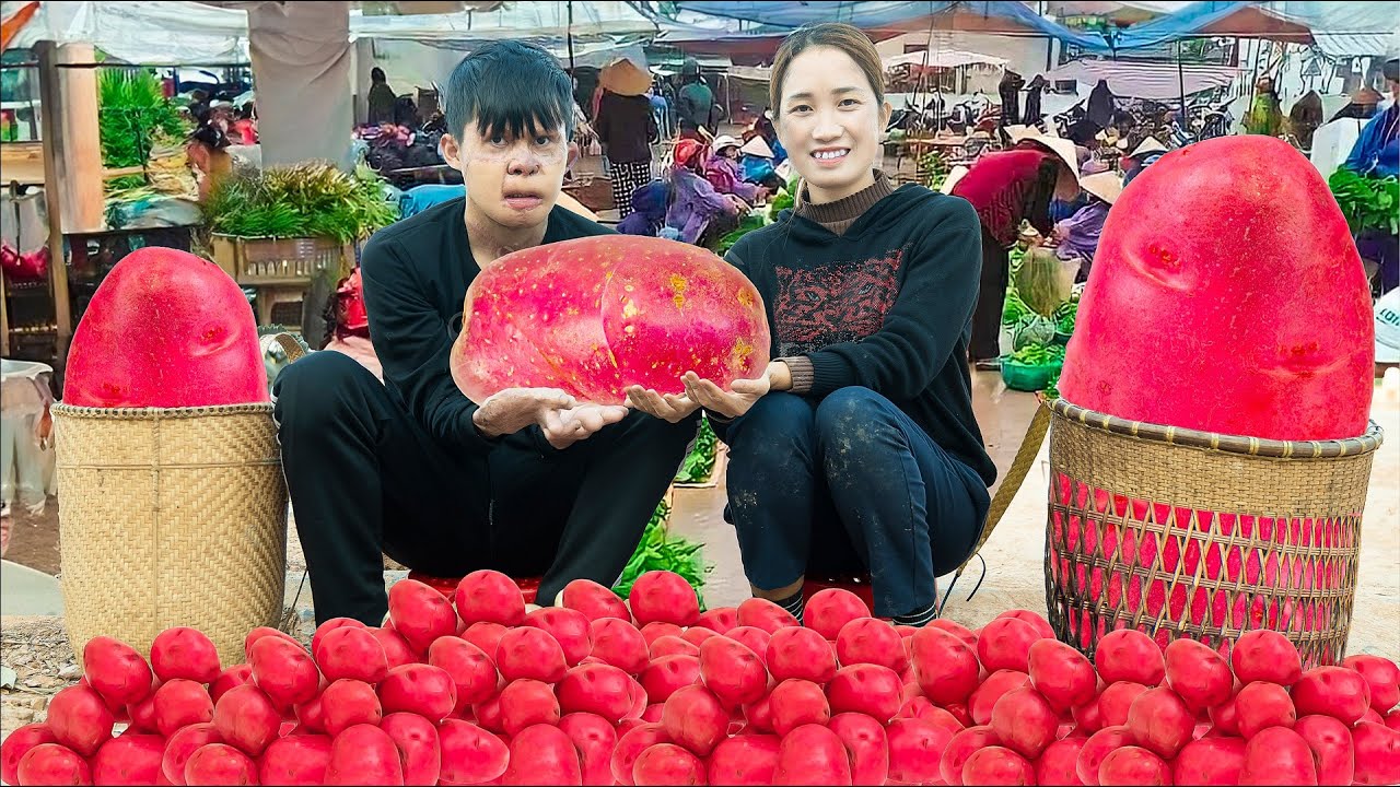Harvest RED POTATOE Goes to the market sell - Merry Christmas - Lý Thị Hoa