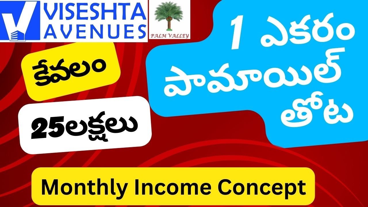 Palm Oil Cultivation | 1  ఎకరం పామాయిల్  తోట కేవలం 25లక్షలు