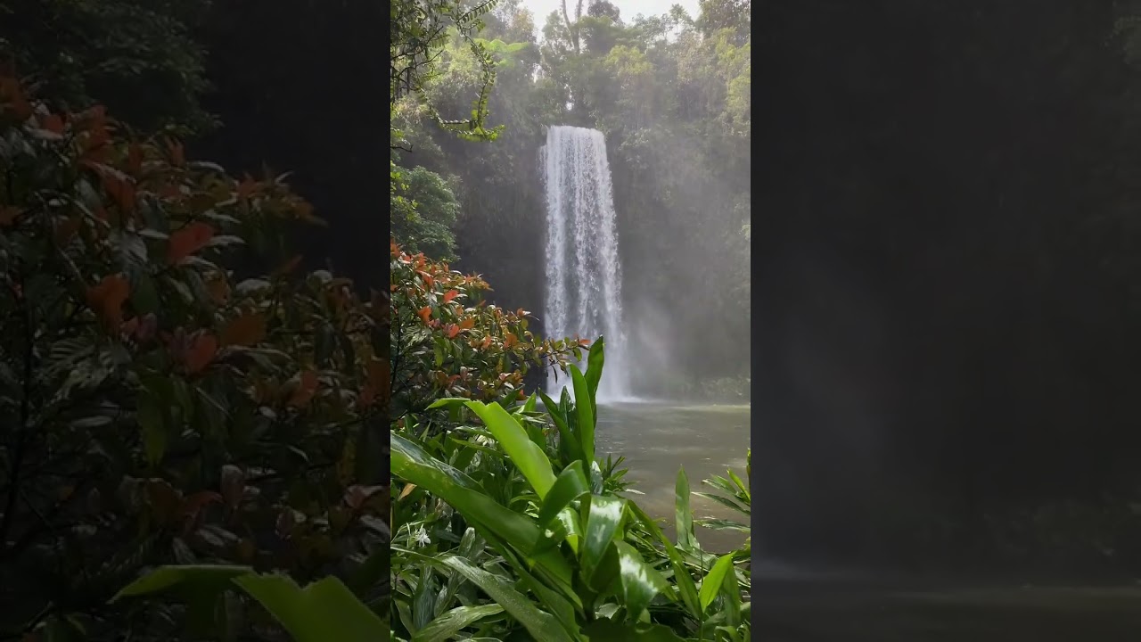 Millaa Millaa Falls - The best waterfalls in Queensland, Australia