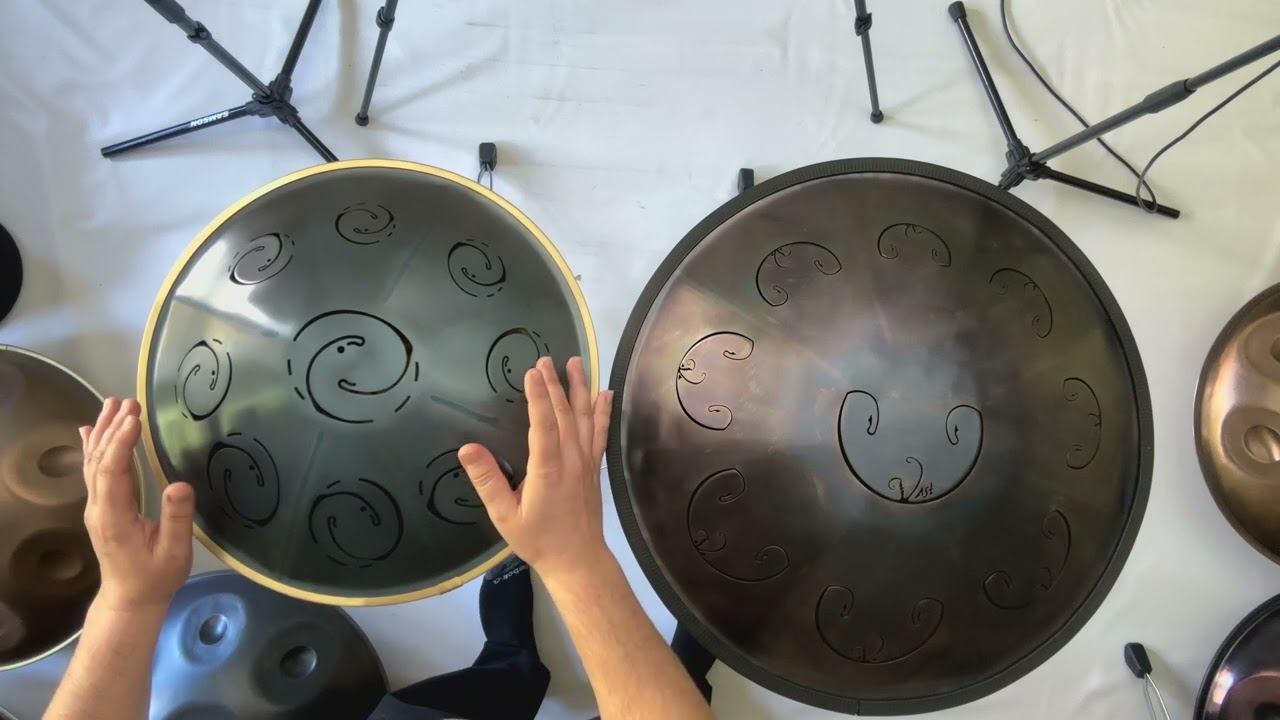 RAV MOON D PYGMY vs RAV VAST G PYGMY TONGUEPANS!