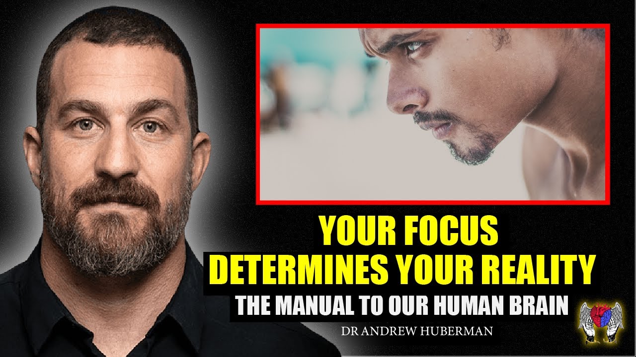 The Manual to Our Human Body: Journey to Optimal Focus I Dr  Andrew Huberman