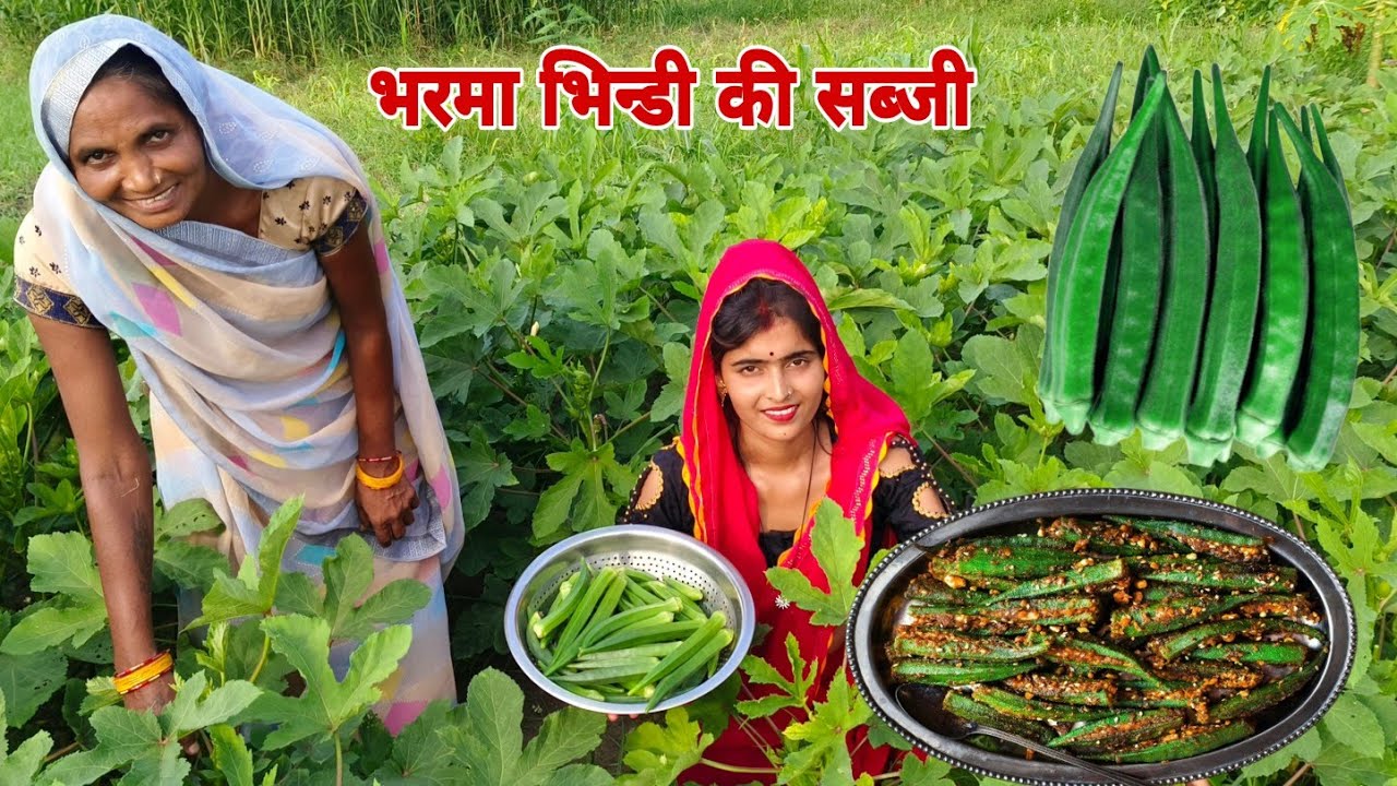 भरमा भिंडी गाओ के तारिके से बनाओ 😋🤗❤️#sandeepsulekha #dailyvlog