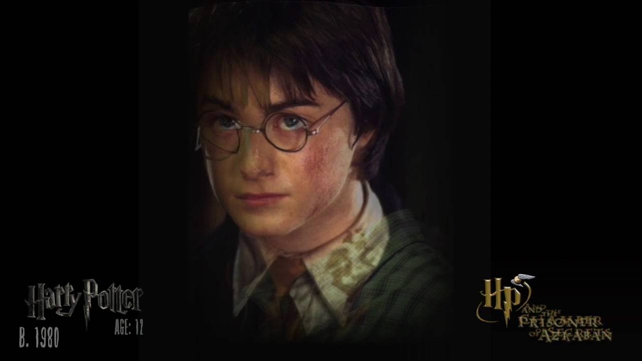 Harry Potter Transformation【 Harry Potter】