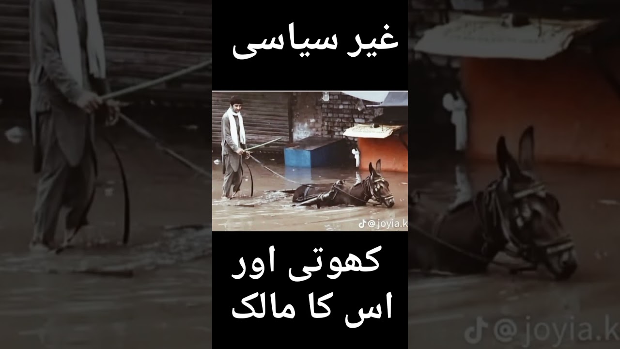 #funny #memes #donkey #politics #pakistan #news #trending #viral #shorts #inflation #economy #804