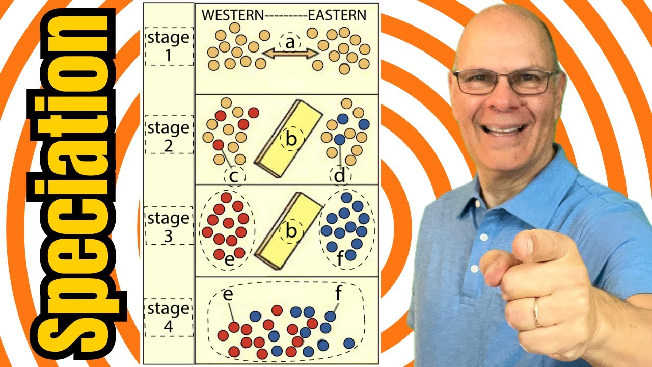 Mysteries of Speciation Explained for AP Bio Students