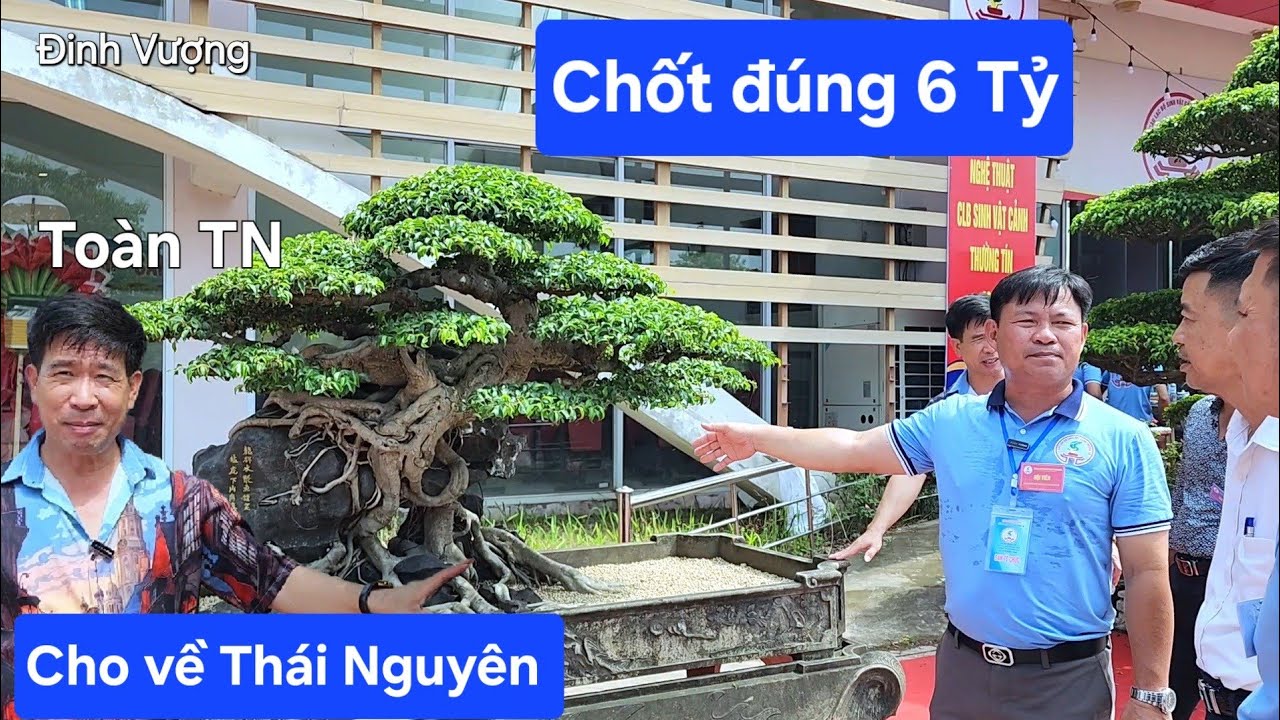 Anh Dũng chốt đúng 6Tỷ !.. Liệu anh Toàn có cho về Thái Nguyên không ?
