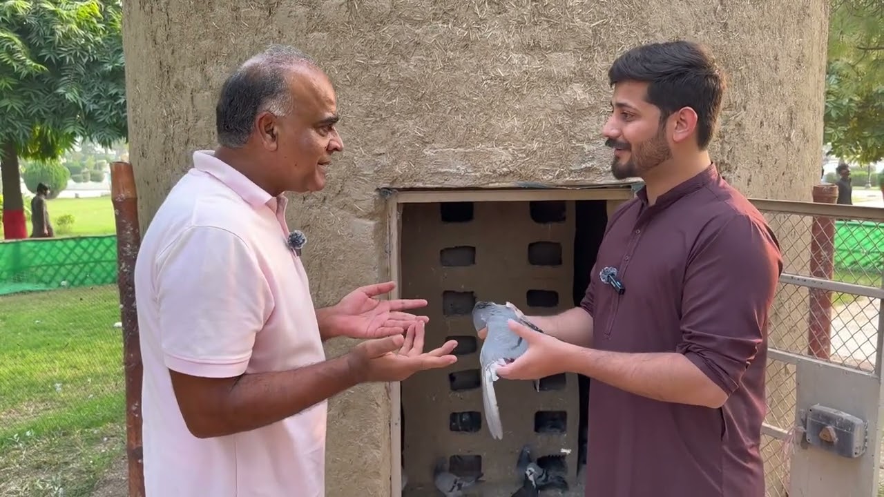 Pigeon tower first time in the history of Gujranwala