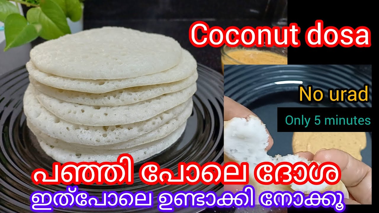 ✅💯പഞ്ഞി പോലെ ദോശ  രാവിലെ എളുപ്പം ഉണ്ടാക്കാം || ഉഴുന്ന് ചേർക്കാതെ || Coconut dosa ||Easy breakfast 