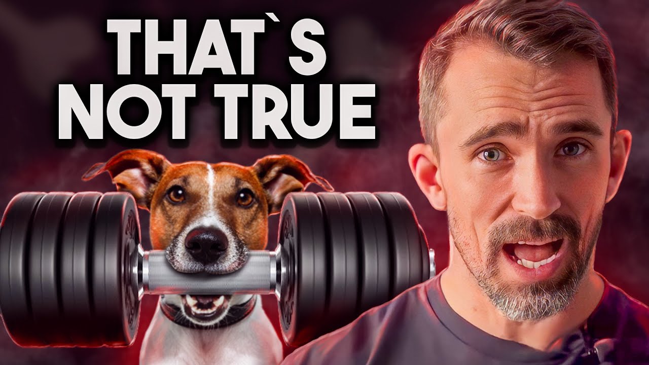 Mythbusters: 10 Dog Myths You Need to Know