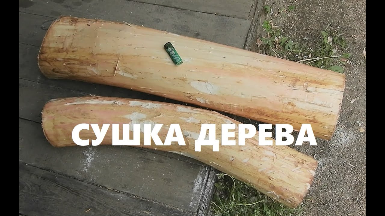 КАК СУШИТЬ ДЕРЕВО ДЛЯ РЕЗЬБЫ / How to dry Wood