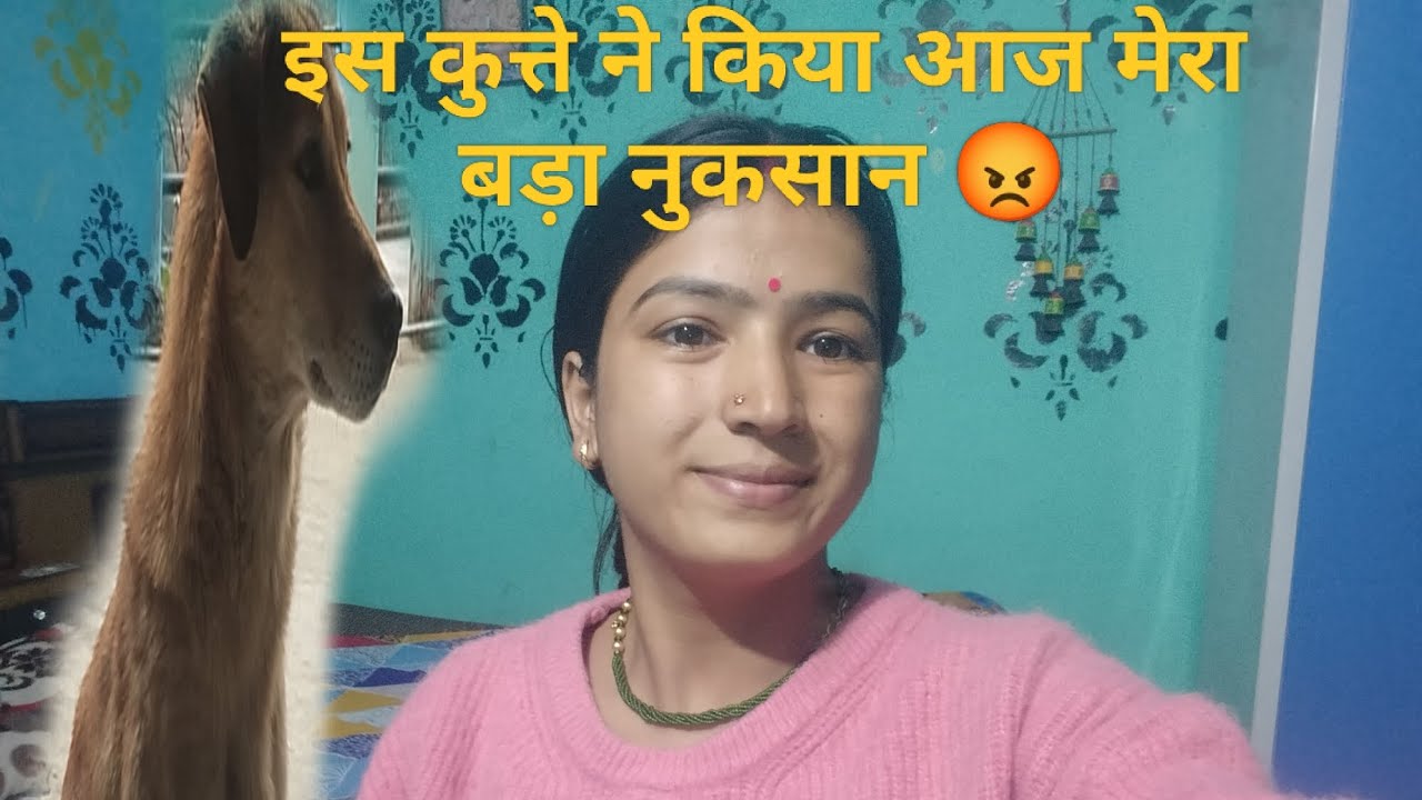25 February 2026 इस कुत्ते पर क्यों आए मुझे इतना गुस्सा 😡😡@Vibhusuchivlog 