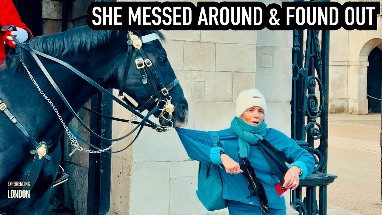 Shocking Moment Royal Guard Horse DRAGS WOMAN OFF FEET! | Horse Guards, Royal guard, King’s Guard