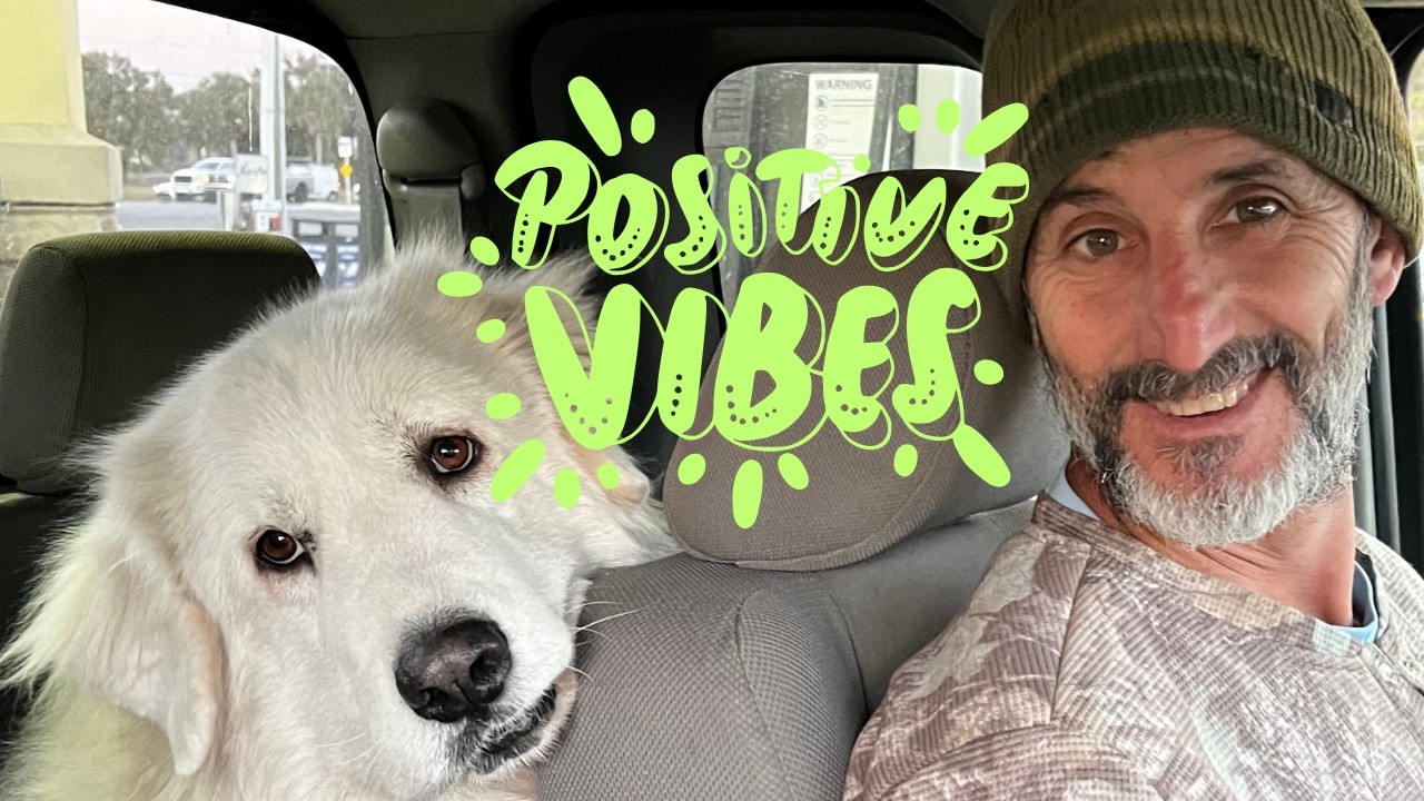 Немного позитива и советы о том, как двигаться дальше после заморозков.