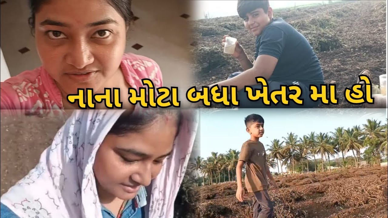 હવે ખેતર નું કામ ચાલુ             krishna pithiya vlog
