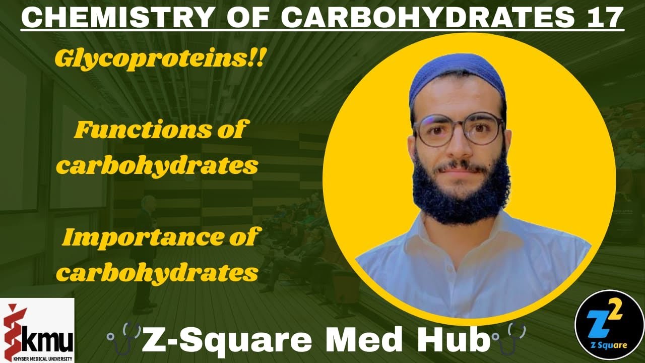 Functions & Importance of carbohydrates || Chemistry of Carbohydrates 17 || Z-Square Med Hub