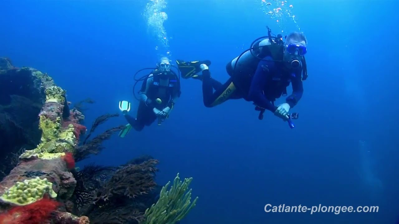 Film sous marin dans la mer des Cara&iuml;bes
