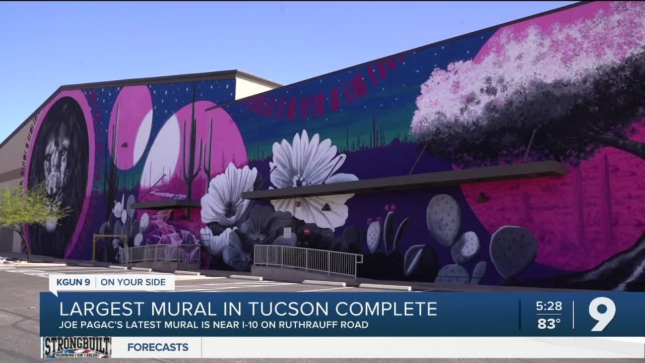 Tucson's latest and largest mural is now completed