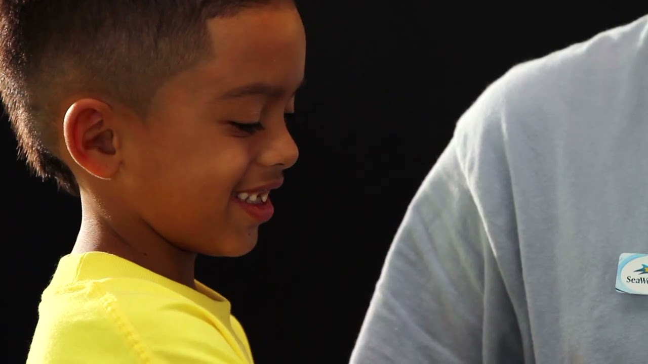 Education Video | SeaWorld Orlando