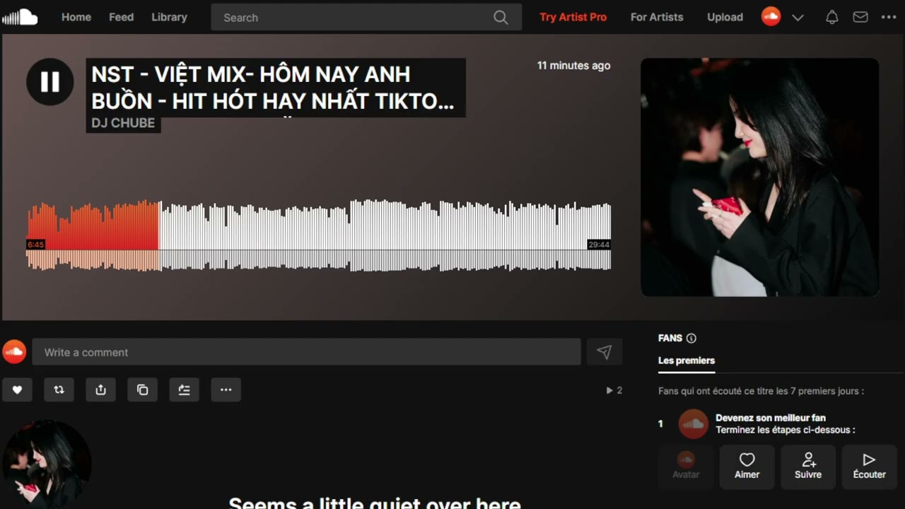 NST - VIỆT MIX- HÔM NAY ANH BUỒN - HIT HÓT HAY NHẤT TIKTOK HIỆN NAY- BASS CĂNG MẠNH