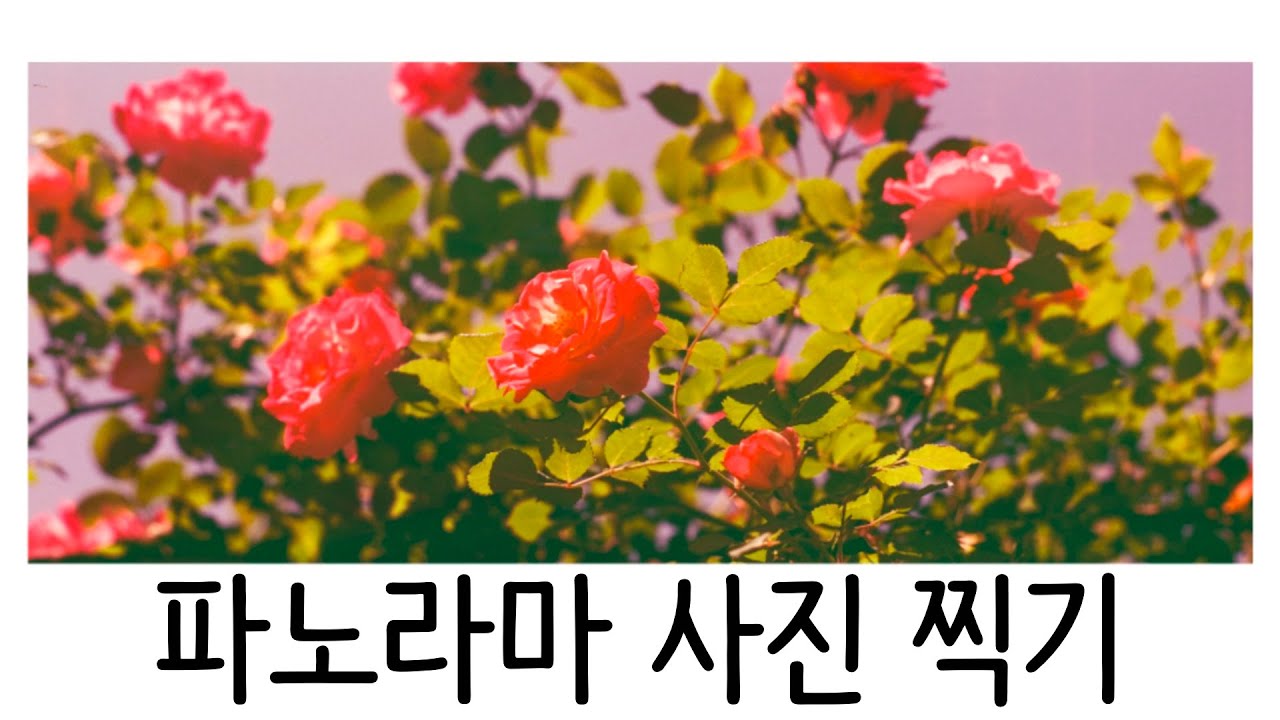파노라마 사진 찍어보기(준비물 : 중형카메라)