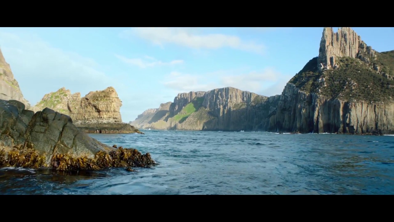 MICE CEE TV: Aquatic and Coastal Australia