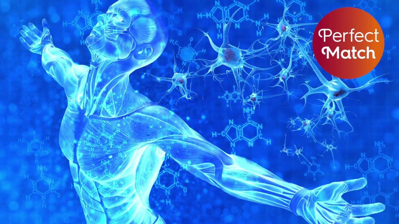 Human-Animal Chimeras, The Future of Medicine?