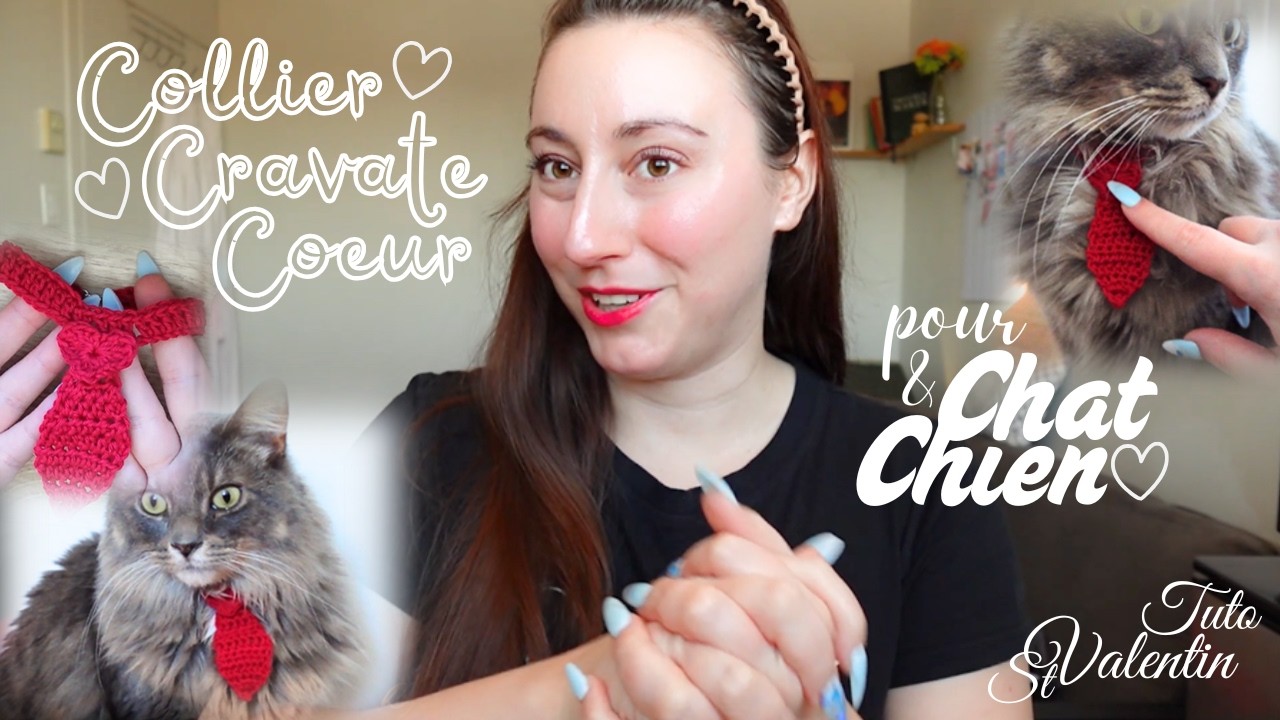 Collier Cravate Coeur pour Chat et Chien au Crochet - Tuto Crochet St Valentin