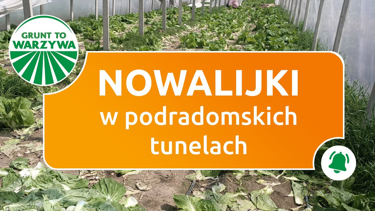 Nowalijki w podradomskich tunelach 7/21