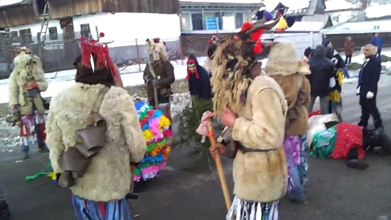 Capra de la Albele 2013 (com. Barsanesti)