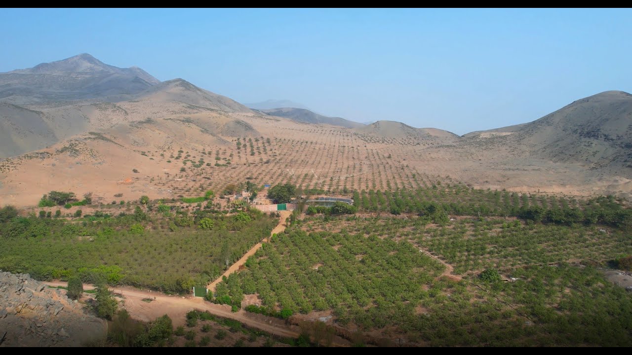Aucallama - Huaral