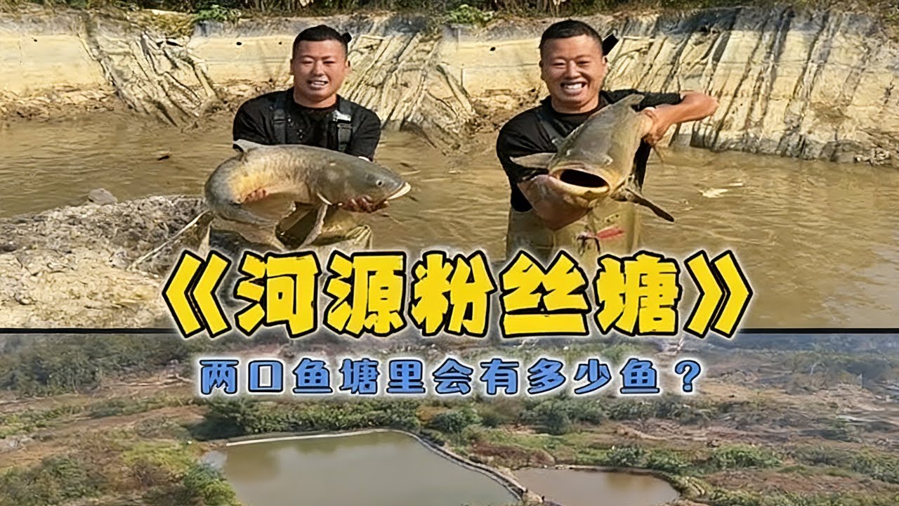 在河源包下一口粉絲家的魚塘，看看兩口塘會有多少魚？ #戶外 #魚塘 #抓魚 #甲魚 #fishing