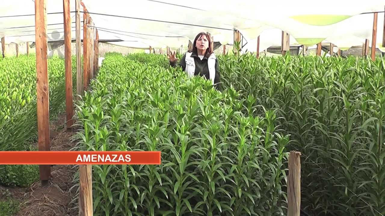 El Que Aprende Emprende Capítulo 5 Bloque 2