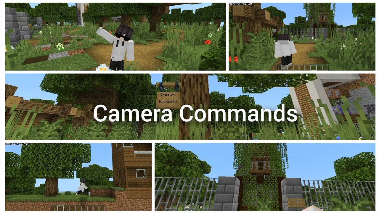 4 Types of Camera Commands | Map