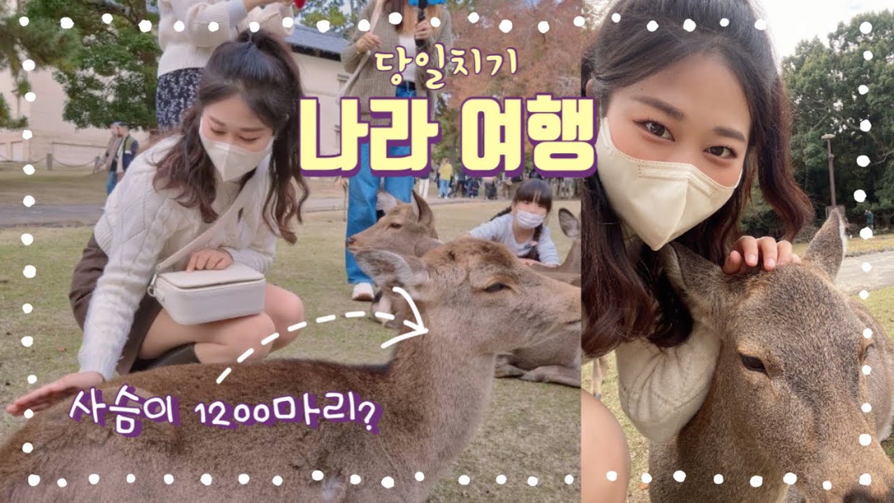 오NARA~오奈良 나라당일치기🦌_사슴공원| 우동맛집추천 | 눈물 나는 떡집 | 제철 과일 카페