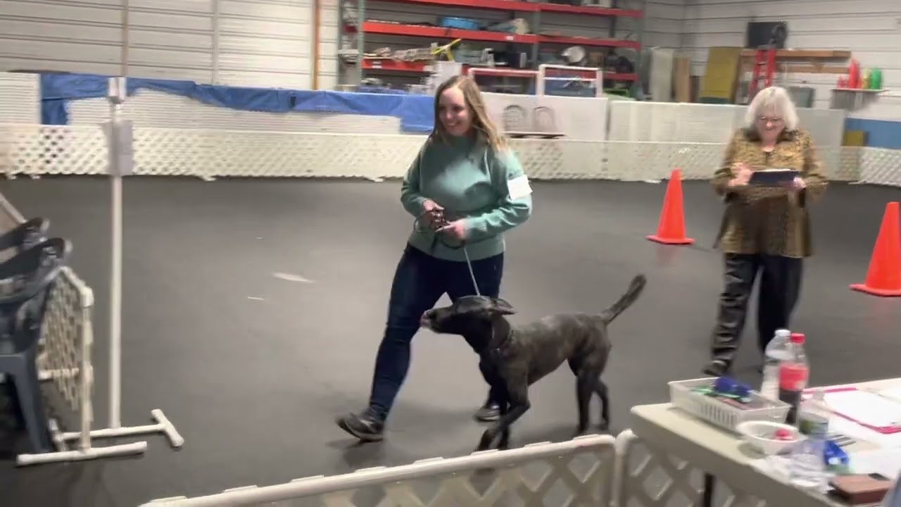 Friday AKC Novice Obedience 196
