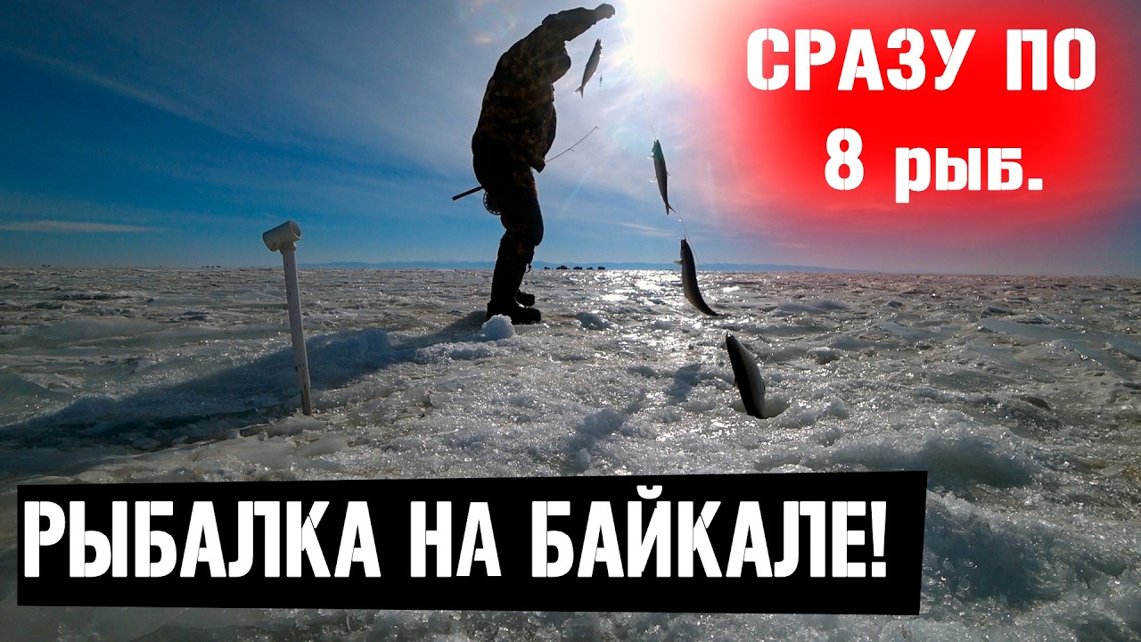 УСТАЛ ТАСКАТЬ! СРАЗУ ПО 8! РЫБАЛКА С ГЛУБИН БАЙКАЛА! ОМУЛЬ
