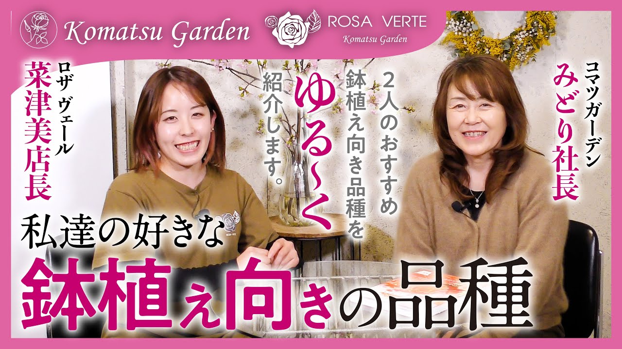 【バラの品種紹介】みどり社長と菜津美店長おすすめ！鉢植え向きのバラ