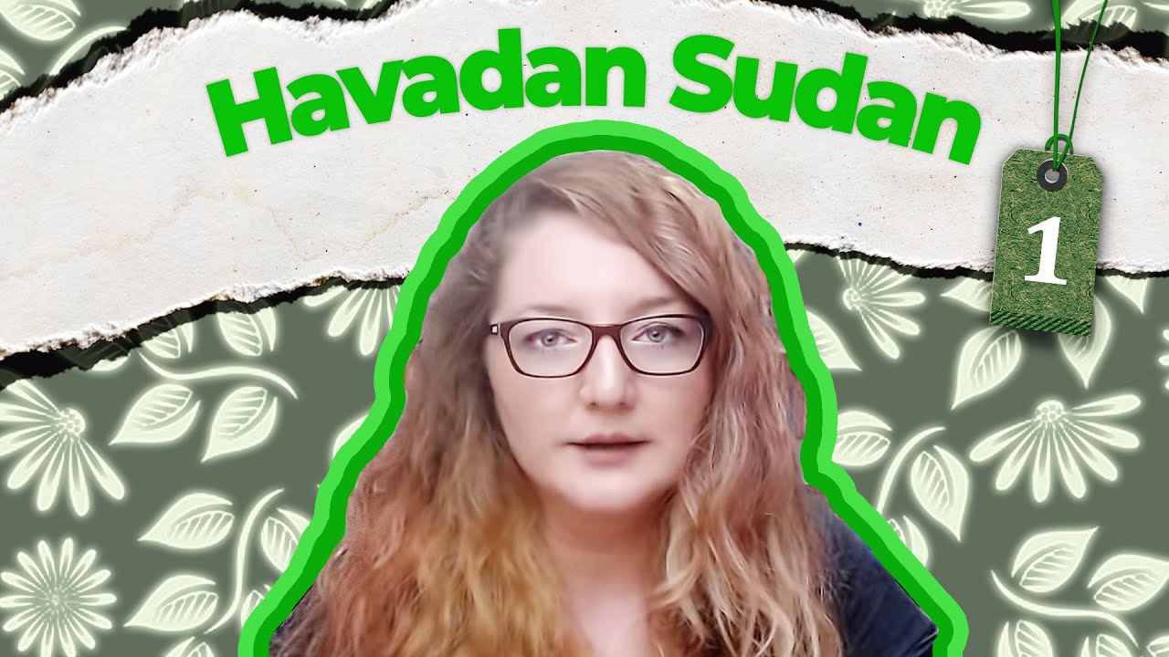Havadan Sudan - Bilgün Nodur Meselesi ve Kişisel Gelişim 1