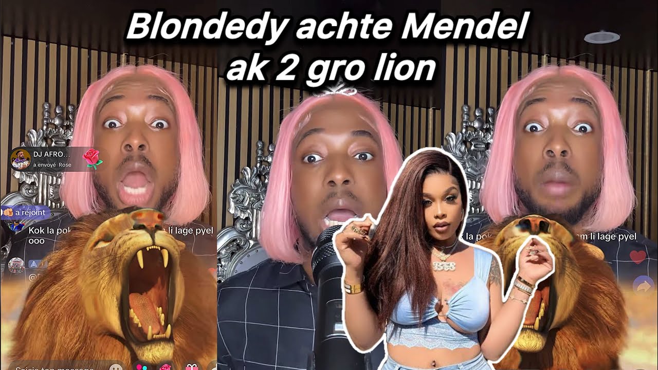 😳 Blondedy voye 2 lion pou Mendel pendan  Mendel ah joure Gardy pou kob match la