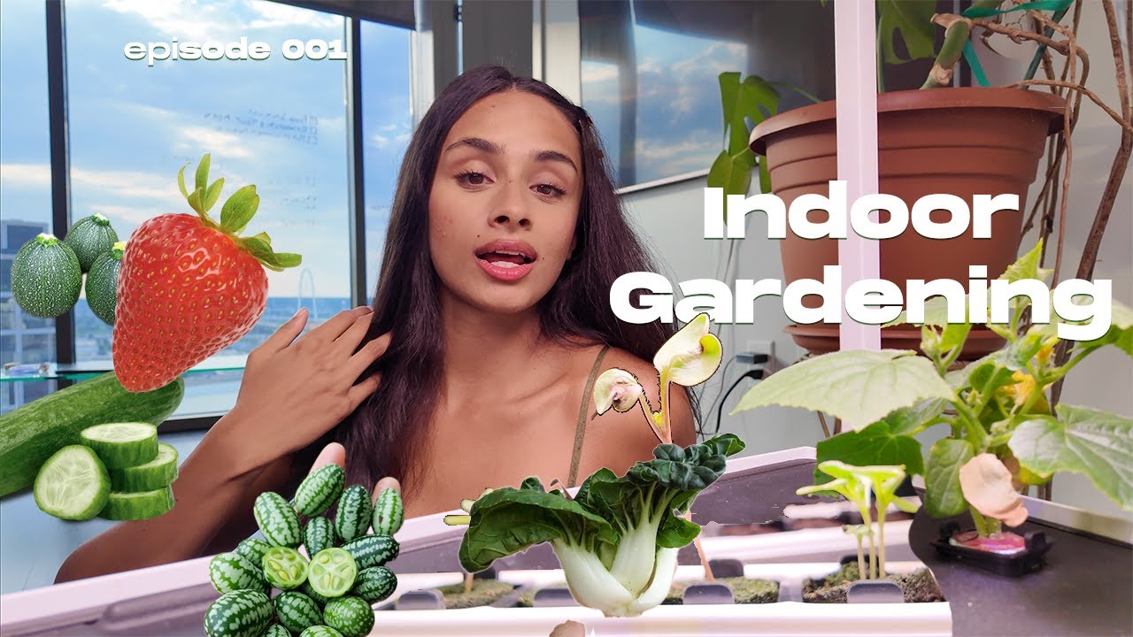 Indoor Apartment Gardening ep.1 // planting strawberries, zucchini