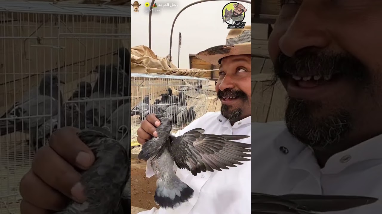 يوم في حياة رجل البرية .. ياللروعه انه يوم جميل