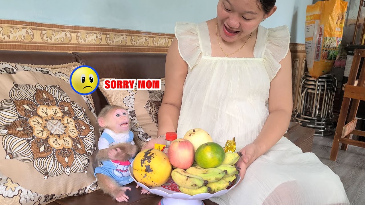 Monkey David got mad at Mom for not letting him use his hands to pick up food