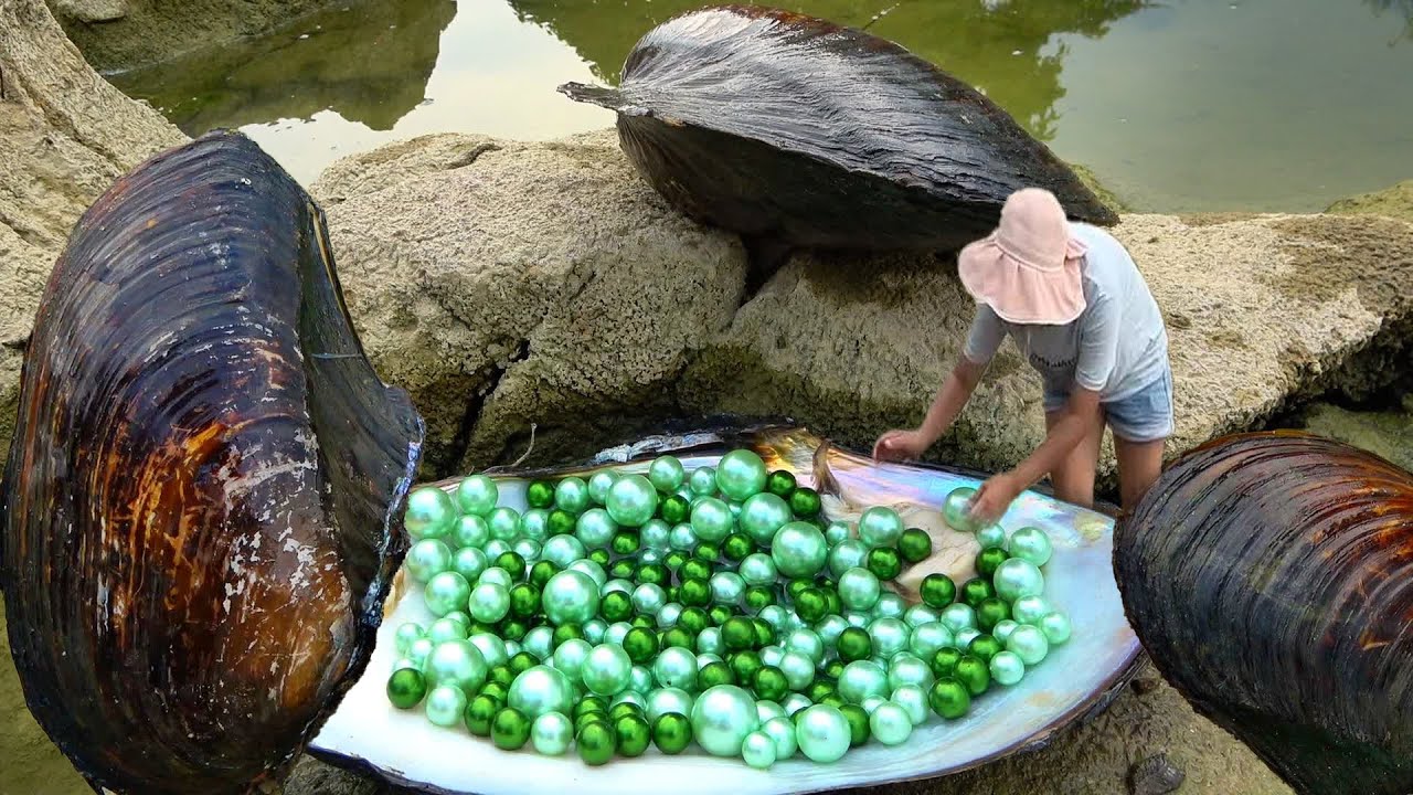 Stunning Revelation from the Deep: Foreign Beauty Finds Rare Gems Encased in a Prehistoric Clam